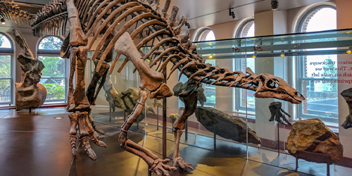 LA museums unions preview