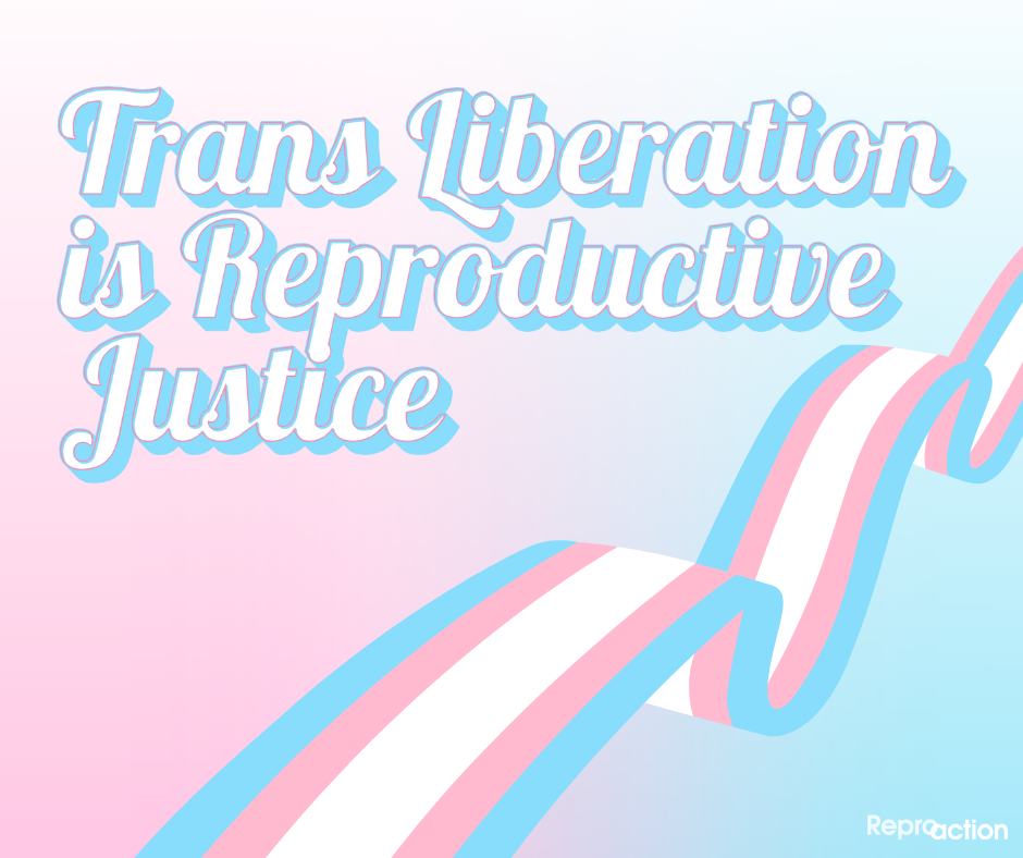 States “Trans liberation is reproductive justice.” Graphic is on a gradient pink, white and blue with trans flag ribbon and Reproaction.