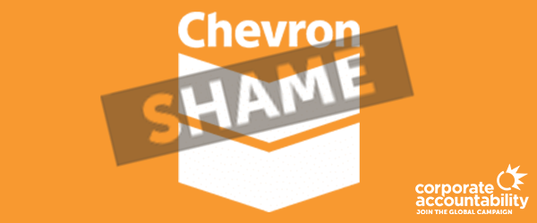 Chevron logo with 'Shame' stamped over it.