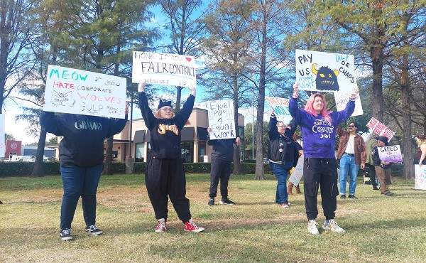 Meow Wolf Workers Hold 3-Day ULP Strike