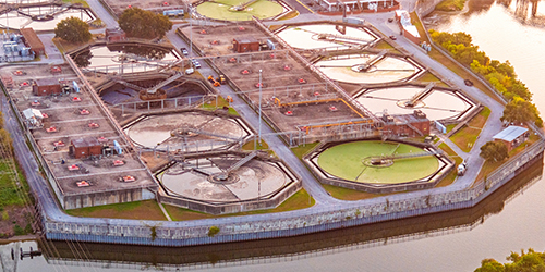 Daniel Ellis Never Quits