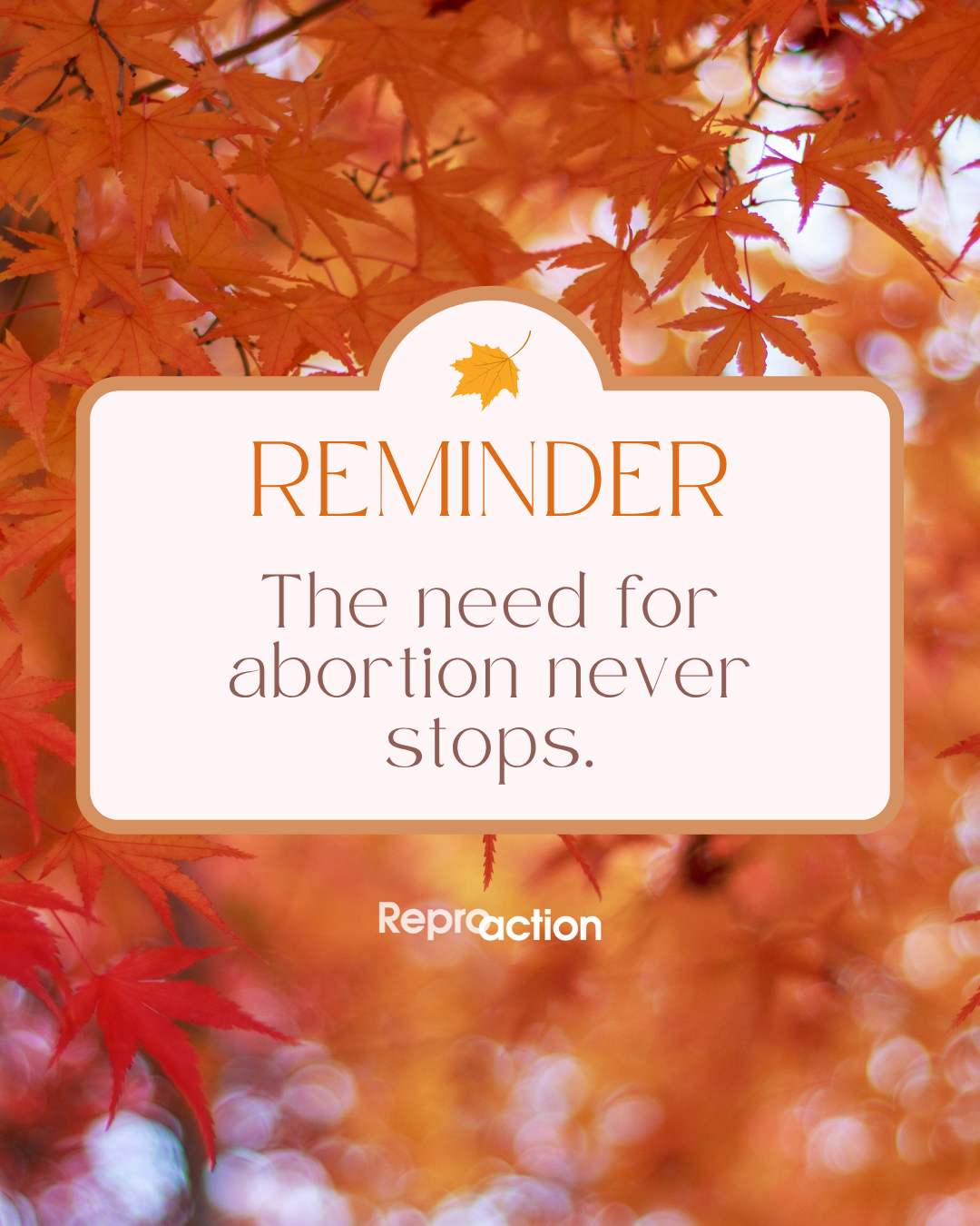 Graphic includes the title “Reminder: The Need for Abortion Never Stops” with an orange, foliage-themed background above the Reproaction logo.
