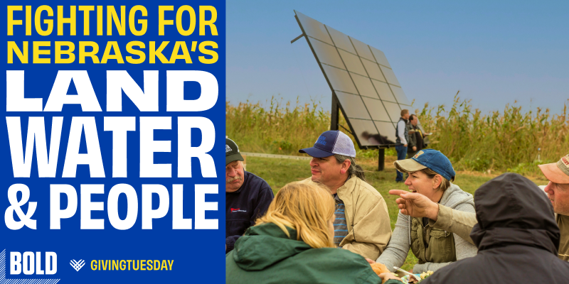 Donate to support Bold Donate to support Bold