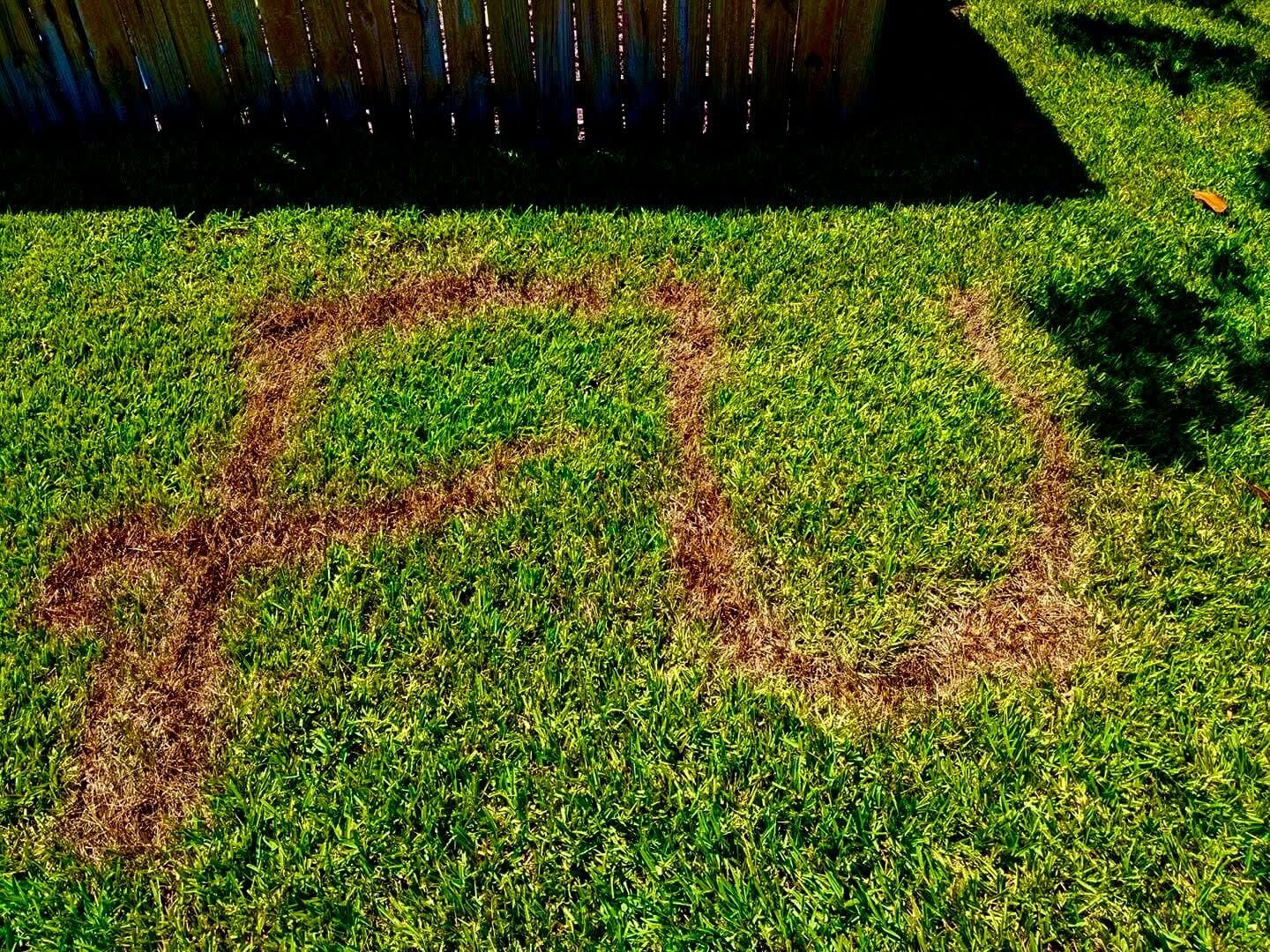 Photograph of a lawn with "FU" burned into the grass.