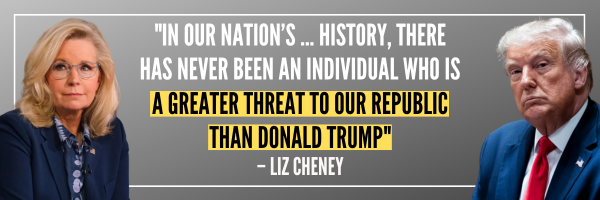Liz Cheney quote: 