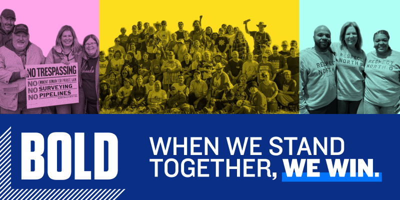 Donate to support Bold's work