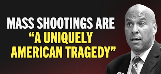 Jamie Raskin: 'It's time to... restore the expired ban on military-style assault rifles, which was constitutional and effective.'
