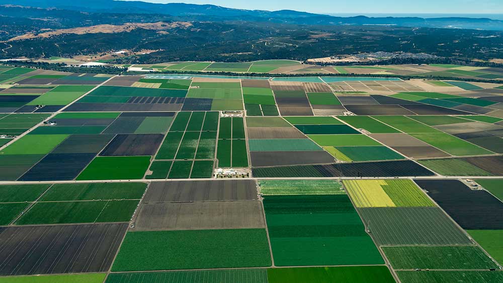 ca farmland