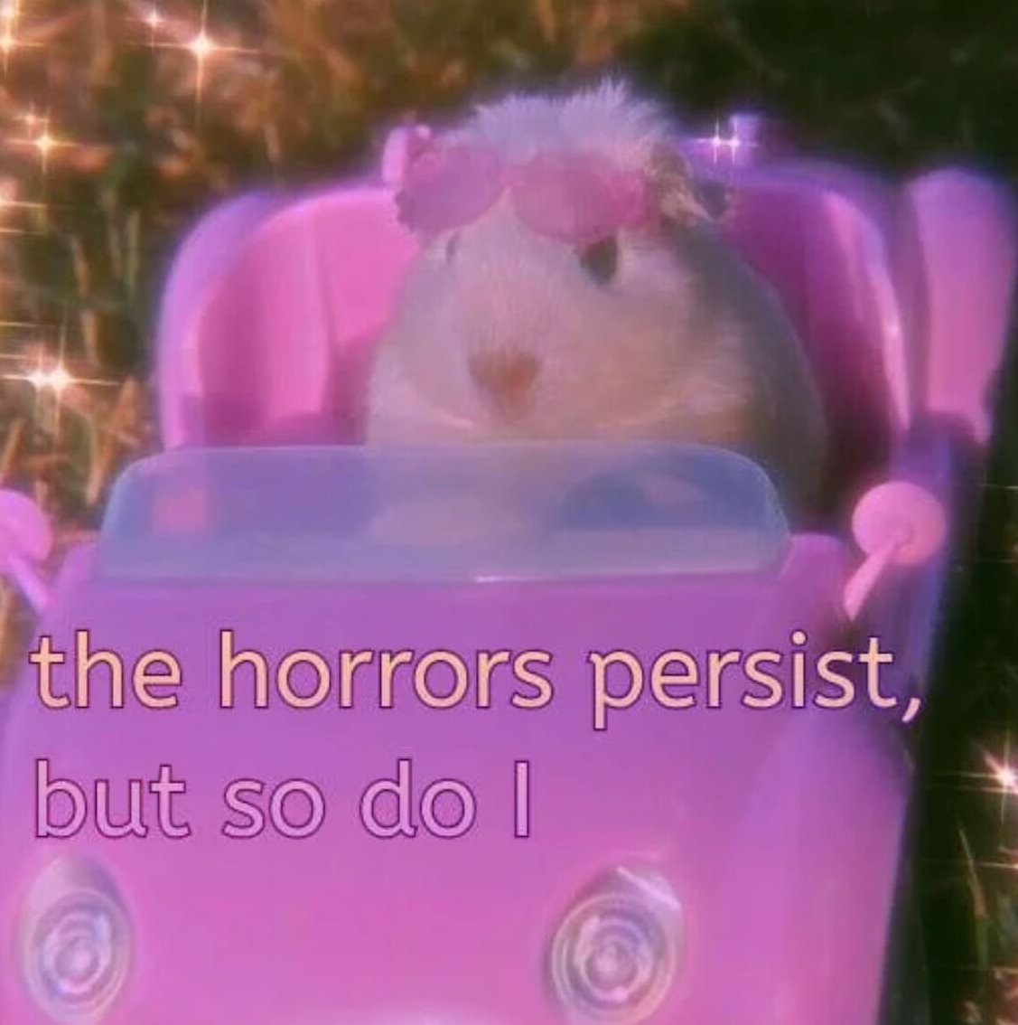 Hamster in a pink toy car with pink heart sunglasses: The horrors persist, but so do I