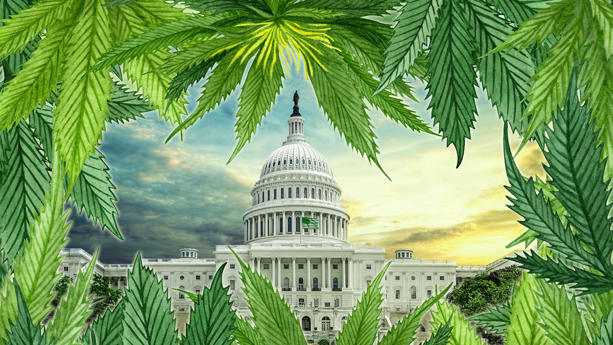 NORML Op-Ed: Pardons Aren’t Enough: It’s Time to Prioritize Marijuana Legalization 