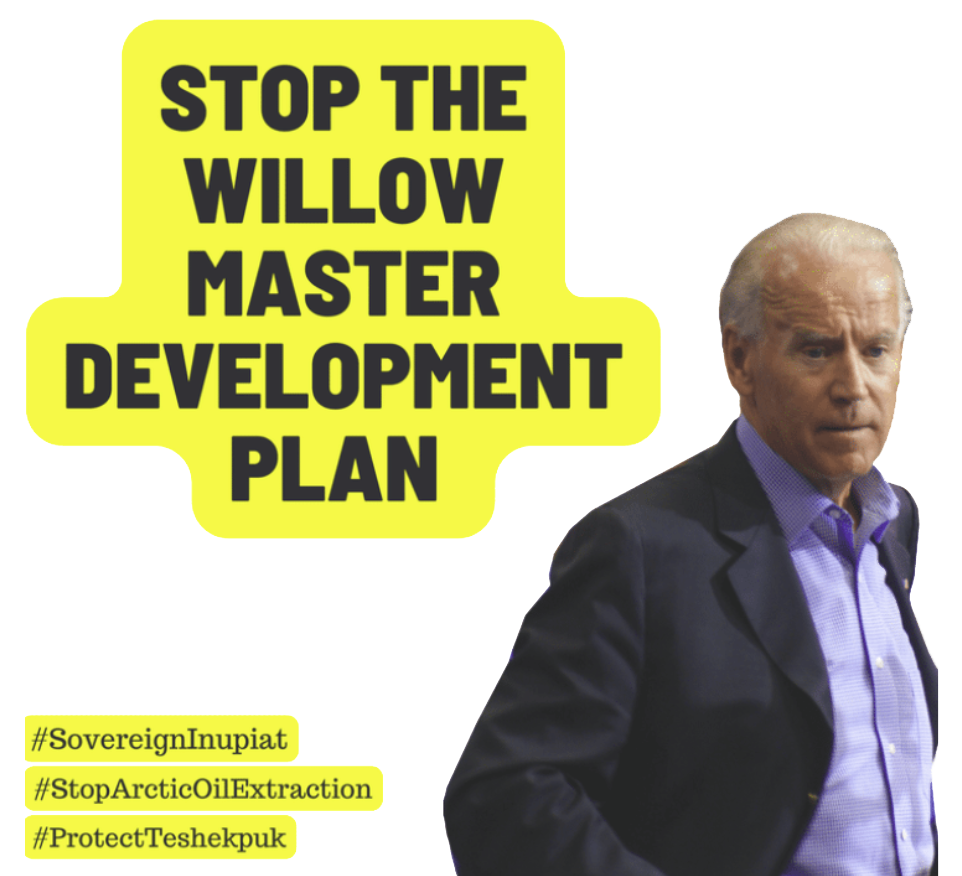 Stop the Willow Master Development Plan