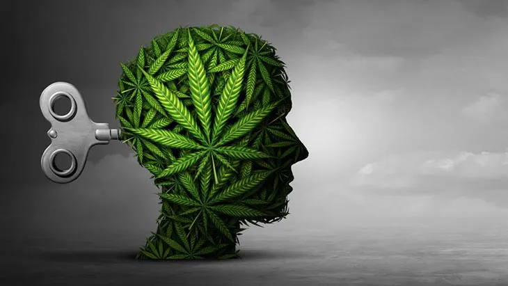 Analysis: History of Cannabis Use Not Associated with More Severe Symptoms of Psychosis