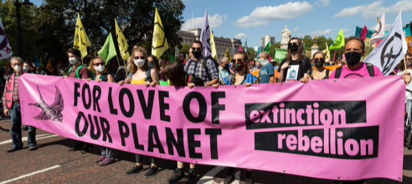 For Love of Our Planet - pink banner