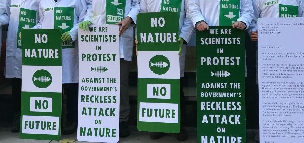 No Nature No Future, green and white placards