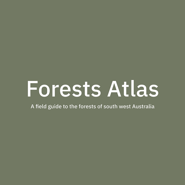 A GIF with 3 images. 1 - White text on green background readings Forests Atlas A field guide to the forests of south west Australia. 2 - A green illustrated map of the south west forests. 3 - black and white photo of a forest
