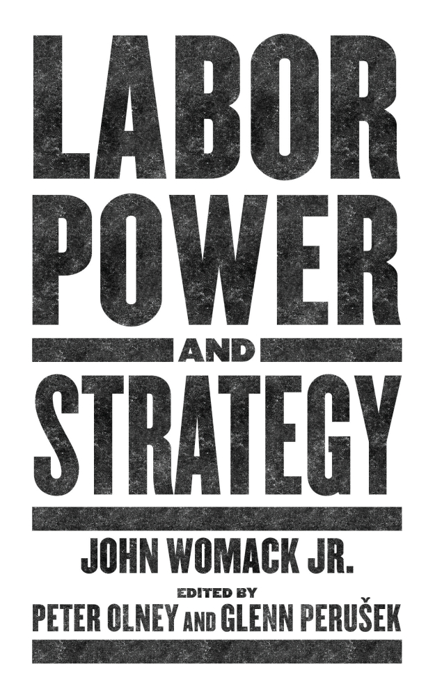 Labor Power and Strategy book cover image