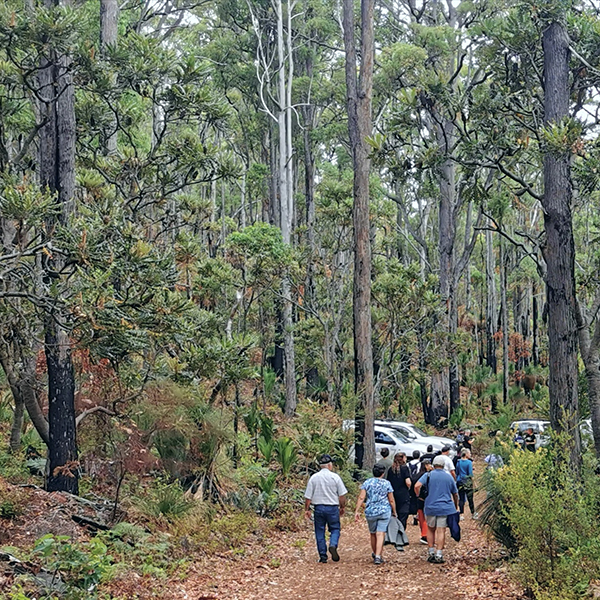 A group of people walk along a gravel road in the Northern Jarrah Forest