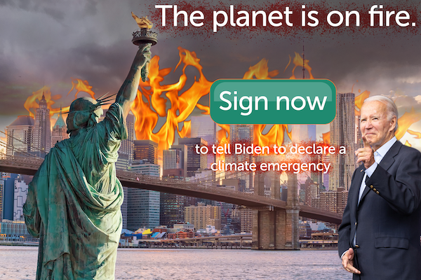 The planet is on fire. Sign now to tell Biden to declare a climate emergency.