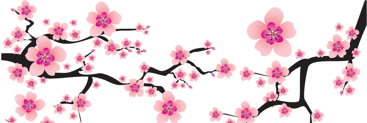 Graphic of cherry blossoms 