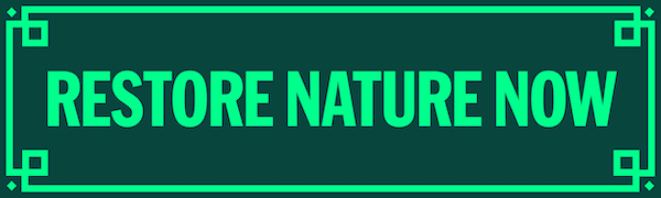 Logo that says Restore Nature Now in light green with a dark green background