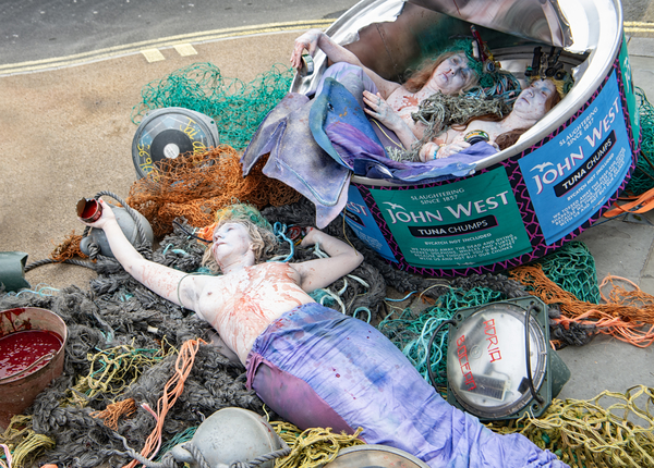 A photo of three people people posing as dead mermaids surrounded by fishing nets. Two of the people are inside a giant can of John West tuna. 