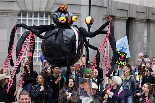 Spider puppet