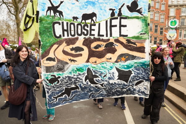 Choose Life banner with wildlife