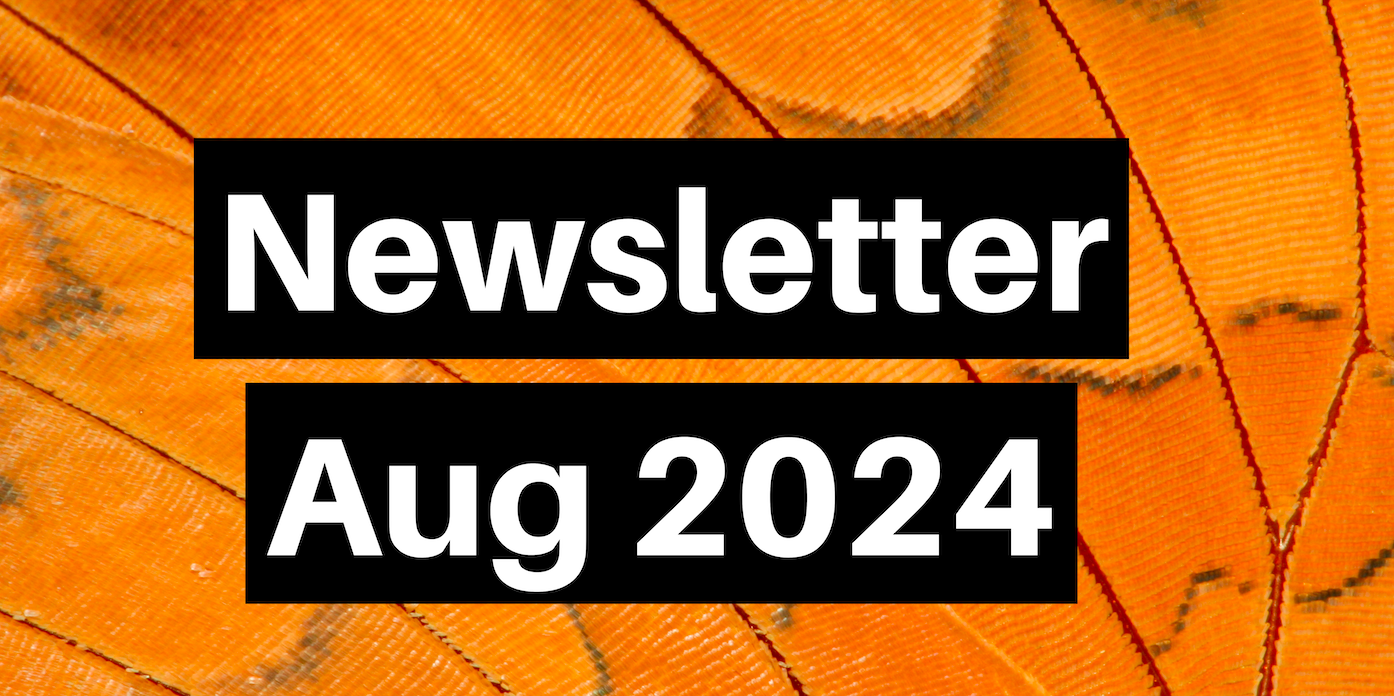 Newsletter: August 2024