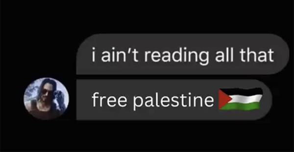 A graphic of the “I ain’t reading all that” meme with the 2nd line reading “free palestine” with a Palestine flag emoji.