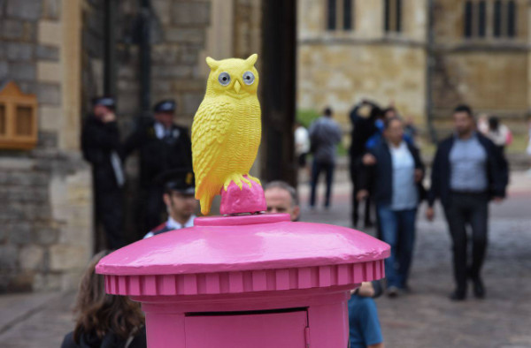 Close up of bright yellow owl on top of pink postbox