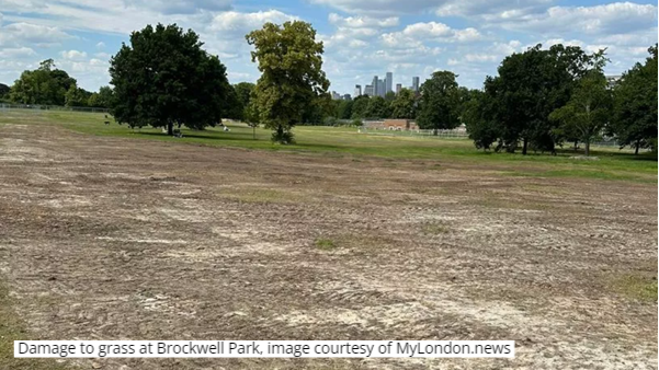 Damage to grass at Brockwell Park