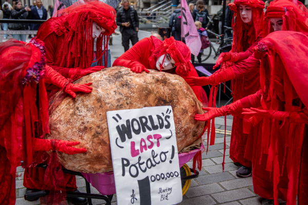 Some 'red rebels' taking a moment to mourn the a giant representation of the worlds last potato