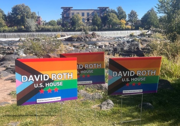 An image featuring David Roth for U.S. House pride yard signs.