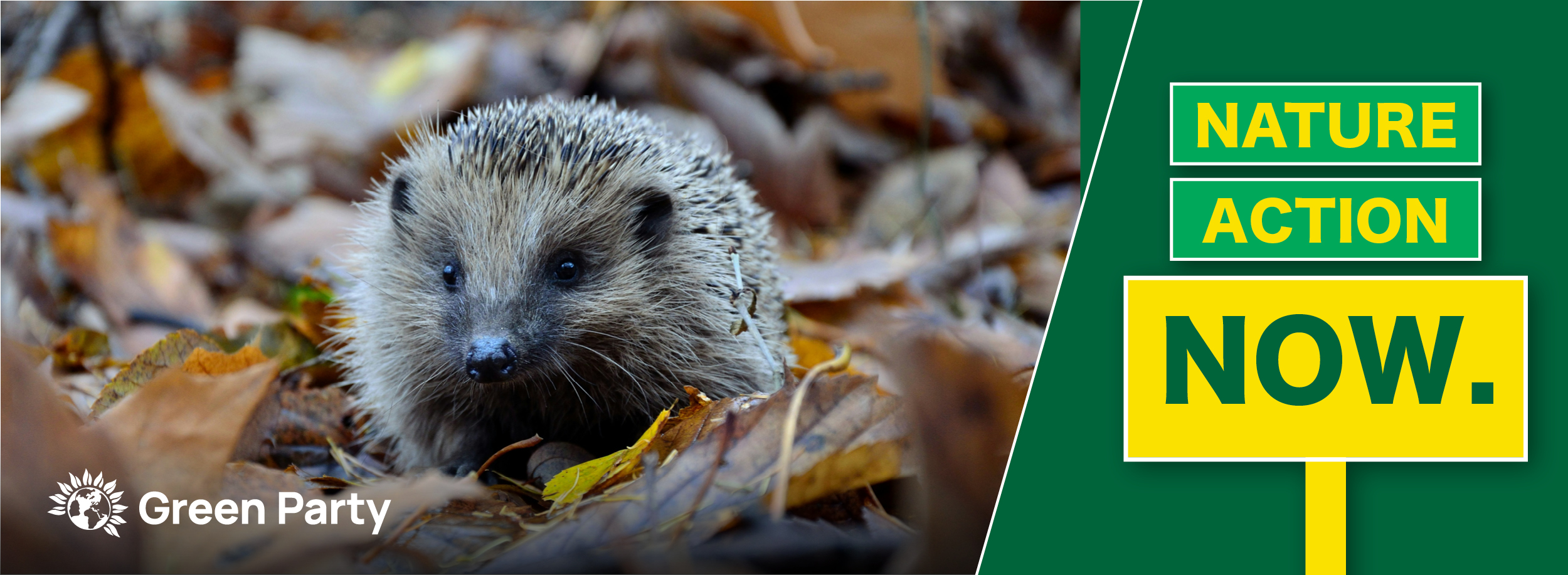 The Green Party - nature action now. 