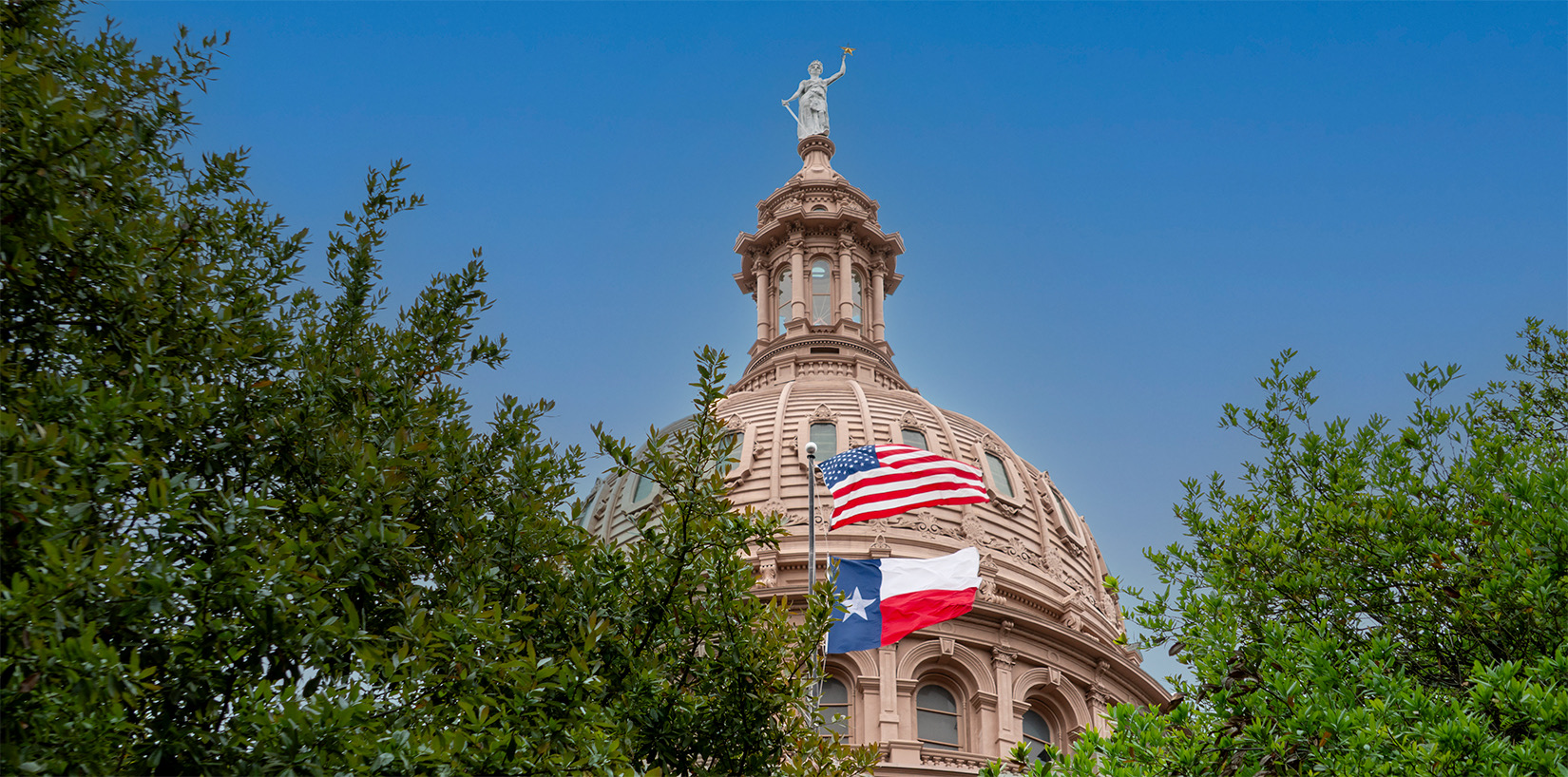 A photo of the Texas Capitol taken from a low angle, with trees framing the Dome against a blue sky.