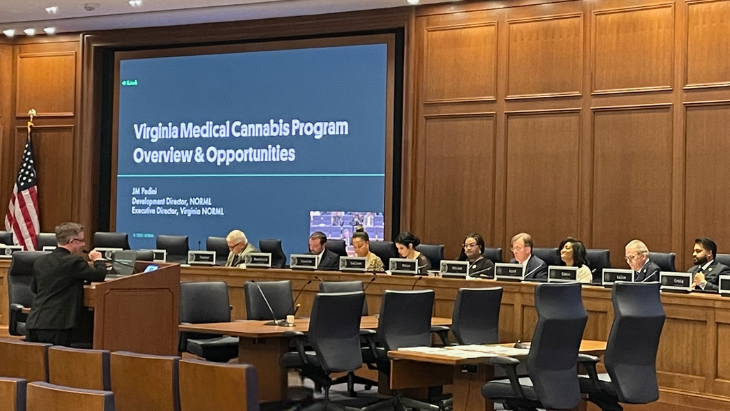 NORML's JM Pedini stands behind a podium and delivers a presentation to lawmakers in a Virginia General Assembly committee room