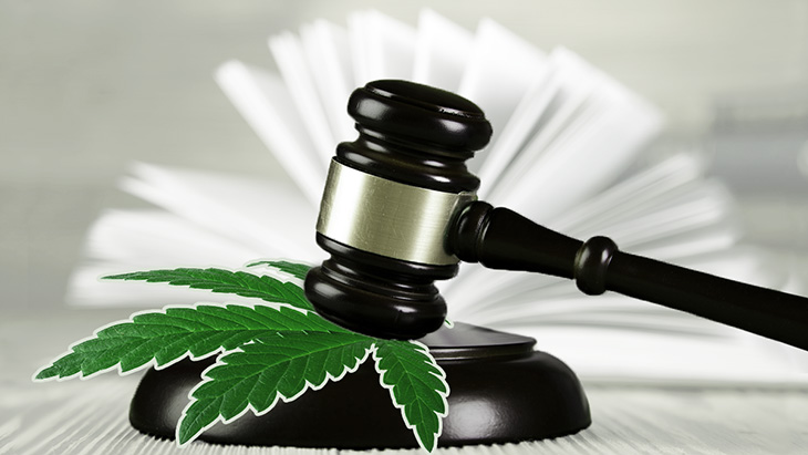 judge's gavel, legal book, and marijuana leaves