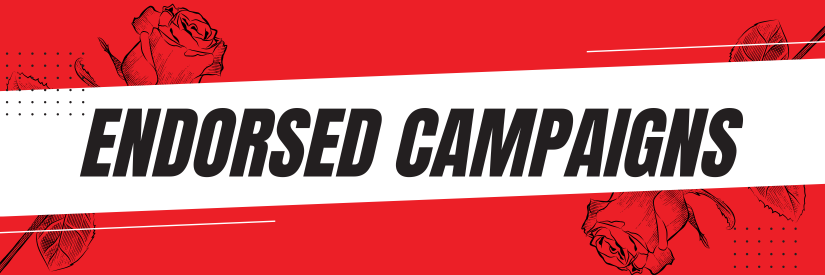 Email header for the Endorsed Campaigns section