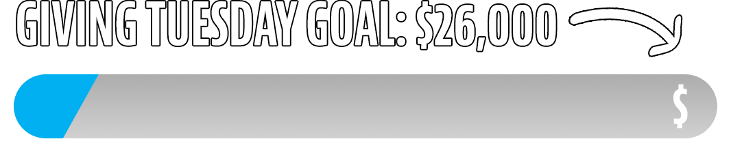 Animated Progress Bar