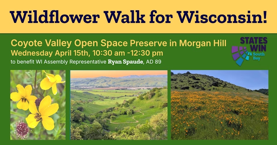 Wildflower Walk for Wisconsin graphic