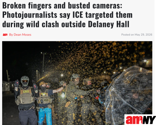A screenshot of an amny article with the headline, 