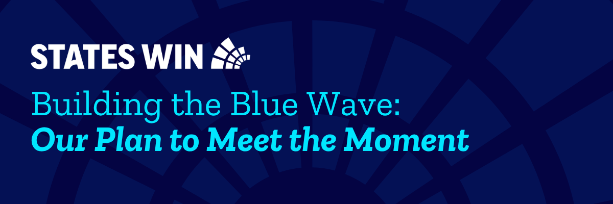 Building the Blue Wave
