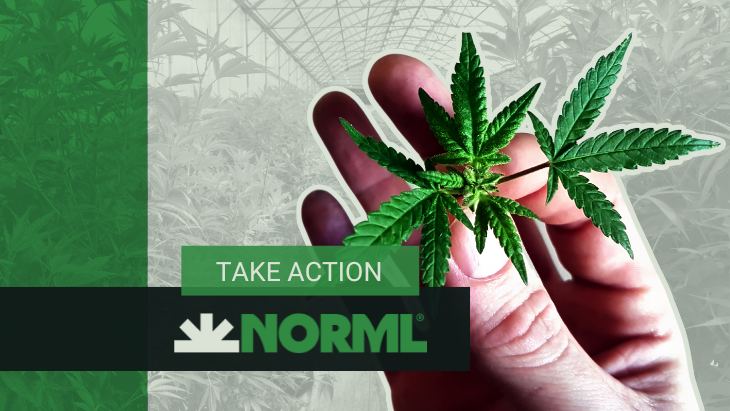 NORML Action Alert