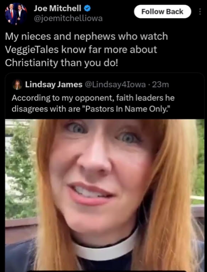 A screenshot a tweet by Joe Mitchell that says, My nieces and nephews who watch VeggieTales know far more about Christianity than you do.
