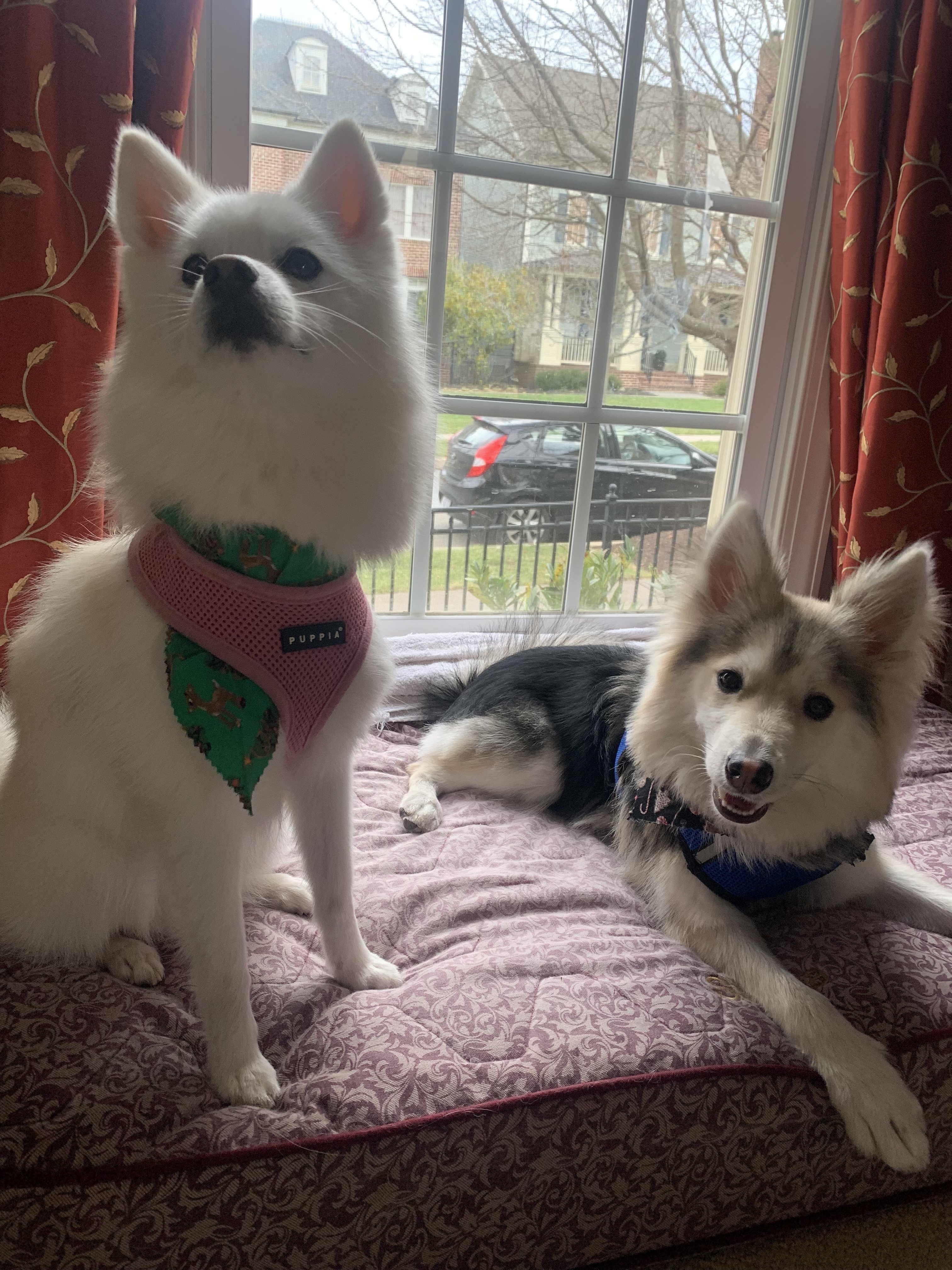 Osita and Sol