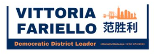 Vittoria For NYS Senate