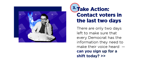 Take Action: Contact voters in the last two days