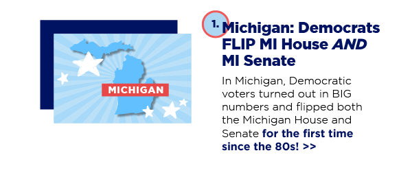 Michigan: Democrats FLIP MI House and MI Senate