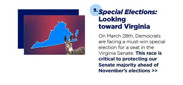 5. Special Elections: Looking toward Virginia