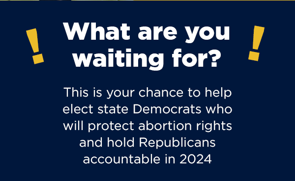 This is your chance to help elect state Democrats who will protect reproductive rights and hold Republicans accountable in 2024